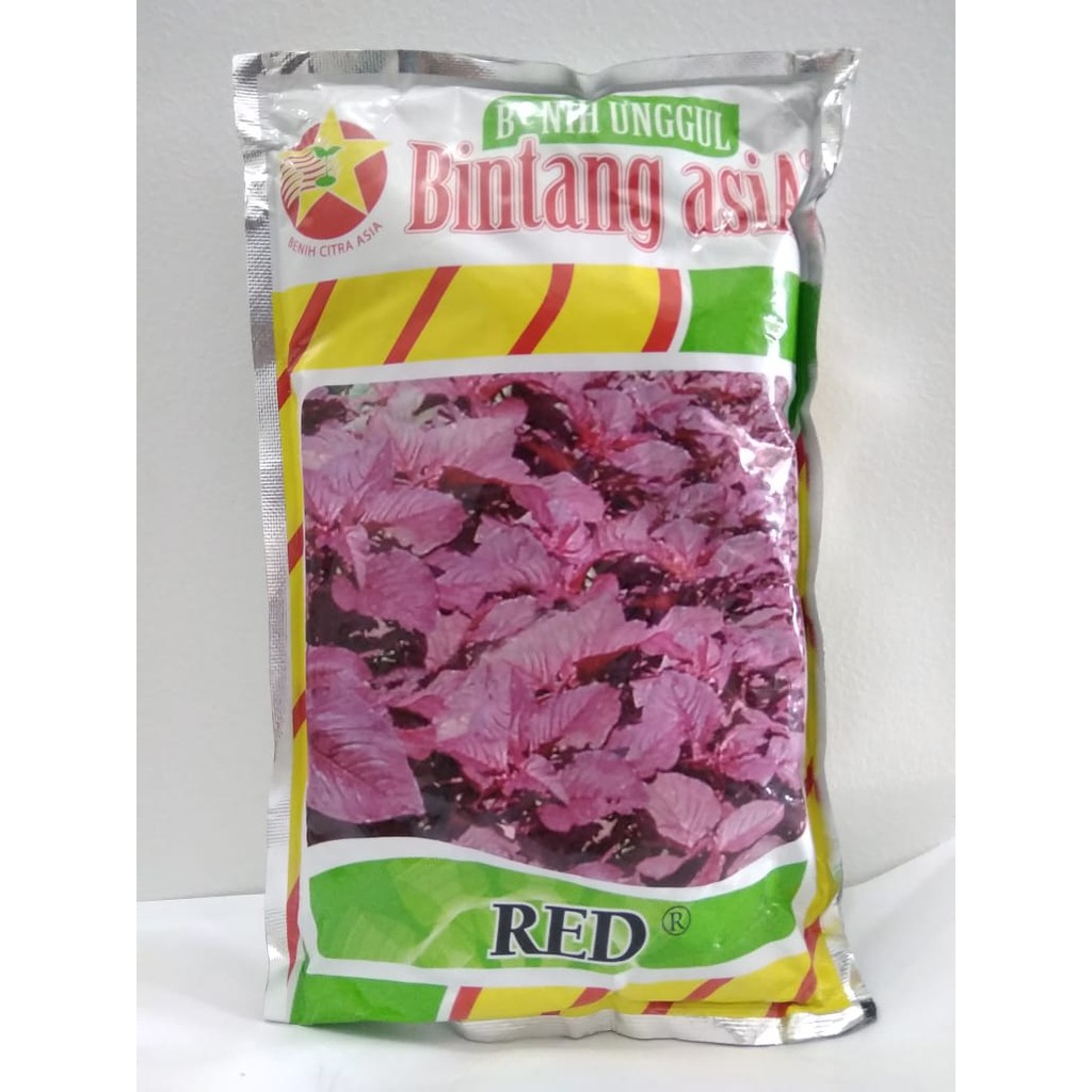 Benih / Bibit Bayam Merah Red Bintang Asia @ 500 Gram