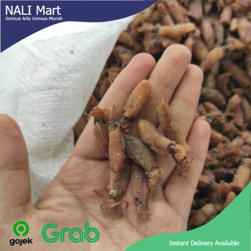 

Baby Cumi 2 - 3 cm / Telur Cumi Asin Teri Sayur Online 100gr