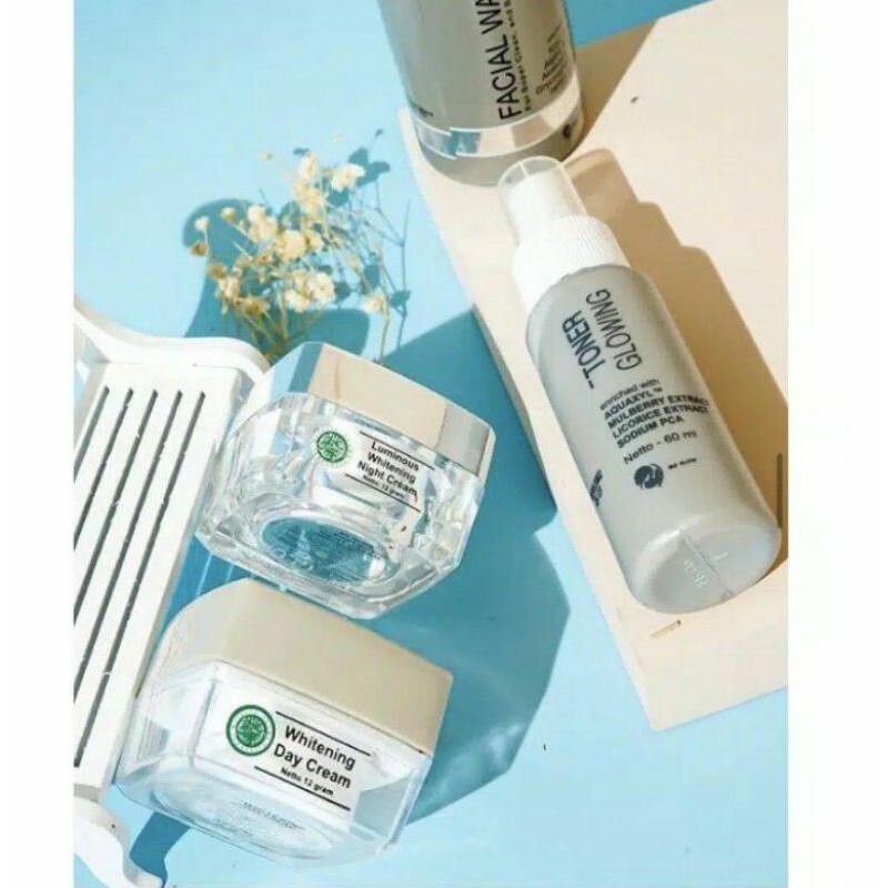 MS GLOW ORIGINAL / Paket ms glow