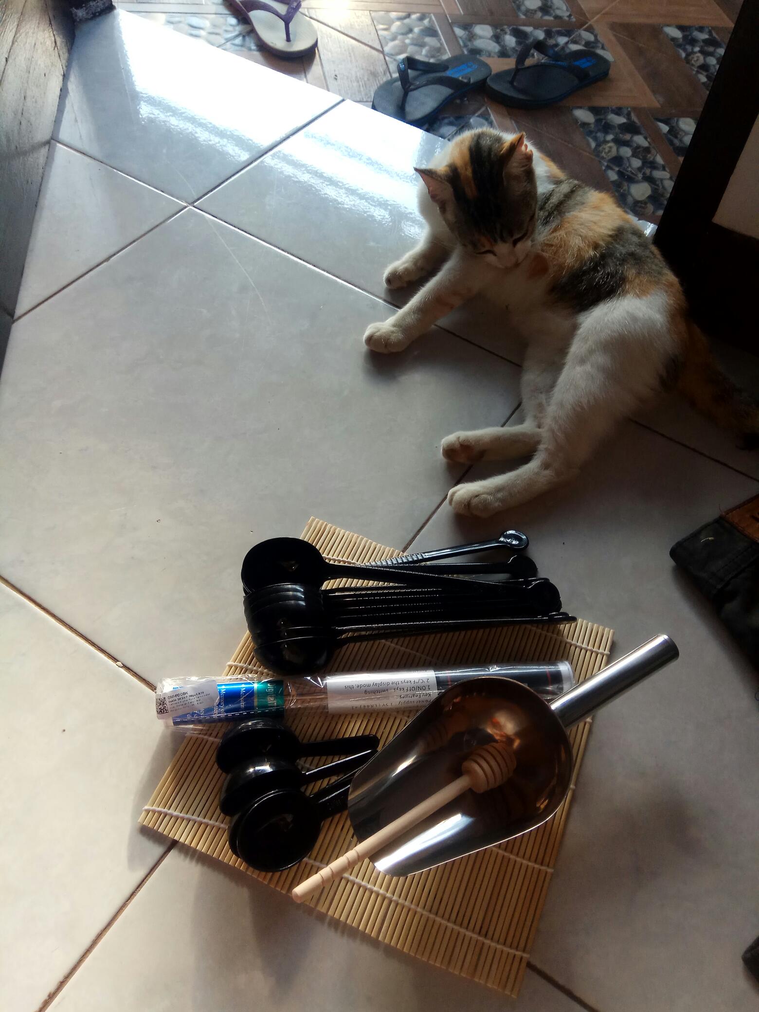 Sendok Takar Kopi 7gr Bubuk Teh Gula Kue Tepung Coffee Spoon 0.25oz