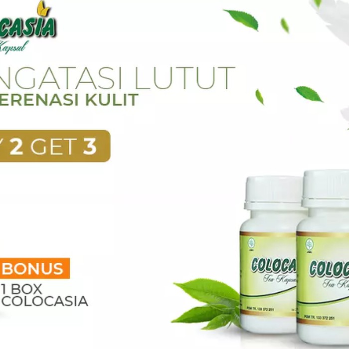 TERMURAH -  COLOCASIA Kapsul Penambah Cairan Lutut Sendi ORIGINAL Lejel - Herbal