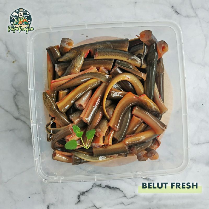 

Belut Hidup Fresh Papapangan - 500 gram