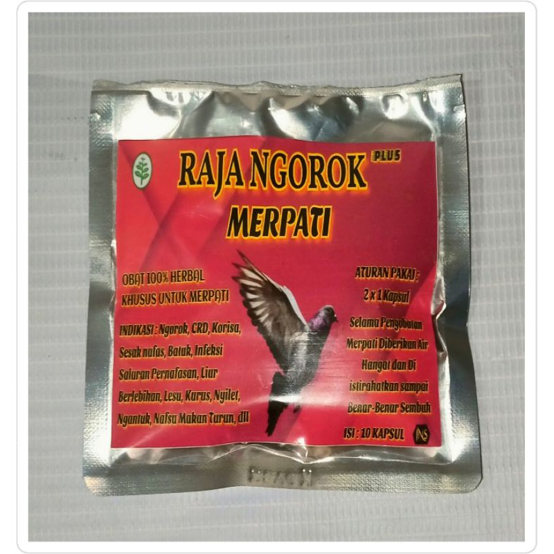 RAJA NGOROK PLUS MERPATI HERBAL ISI 10 KAPSUL OBAT NGOROK CRD KORISA MERPATI