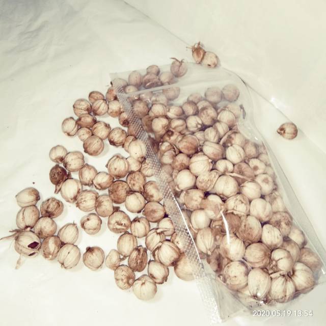 

Rempah Kapulaga kemasan 50 gram