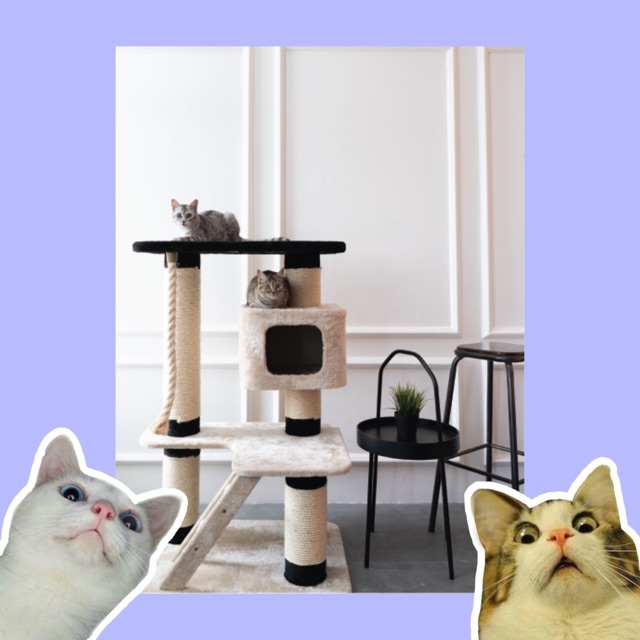 Jual Cat Condo Rumah Kucing Cat House Garukan Kucing Besar Katze Indonesia Shopee Indonesia