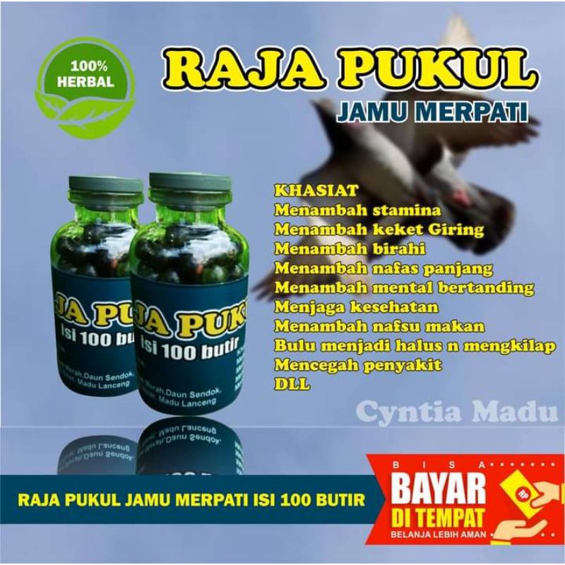 Isi 100 butir JAMU MERPATI RAJA PUKUL-JAMU MERPATI BALAP-MERPATI KOLONG-MERPATI TINGGI