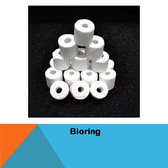 Bioring Bio Ring Keramik Ceramic Care Ring Filter Aquarium 100g size M