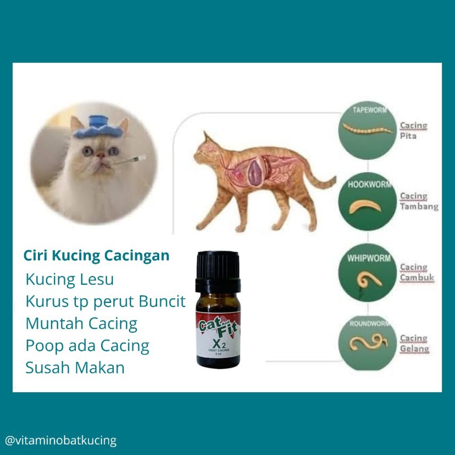 PAKET Obat Anti Jamur Cacing Kutu Scabies Kucing X1 dan X2 Cat and Fit Ampuh