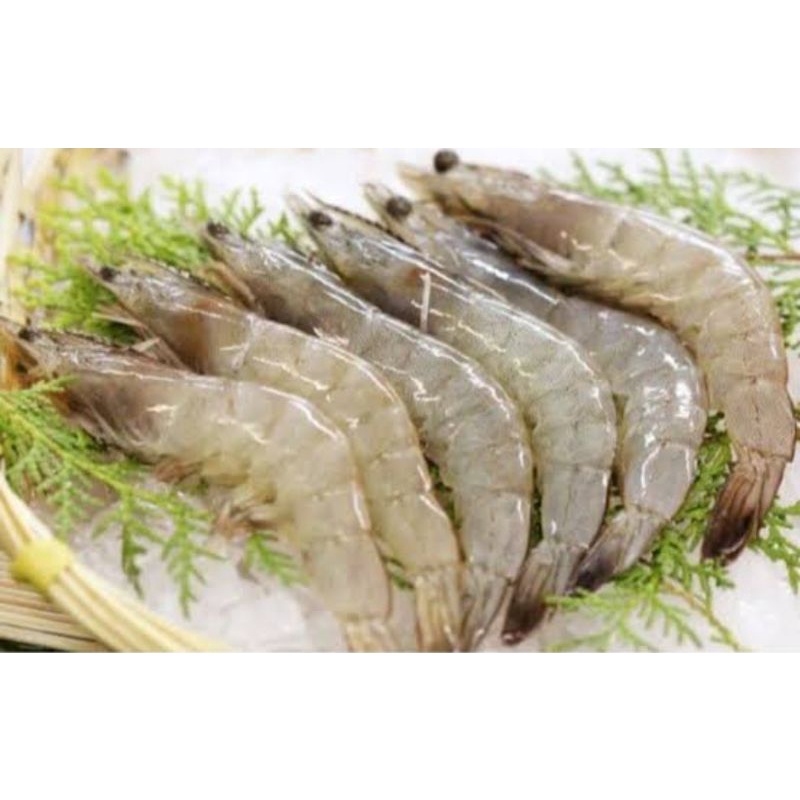 

KHUSUS BANJAR ¦ Udang Segar Size Besar 500 Gram / Fressh Tiap Hari