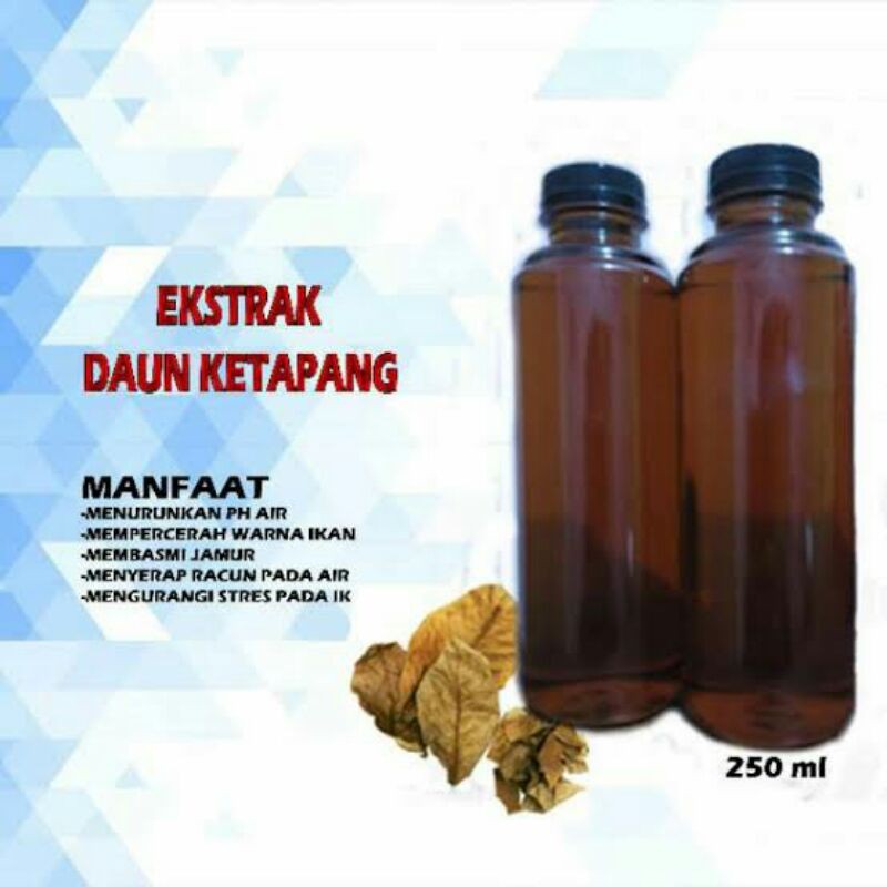 

EKSTRAK DAUN KETAPANG