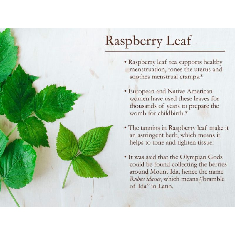 Red Raspberry Leaf Tea For Female Fertility (30 Tea Bag)