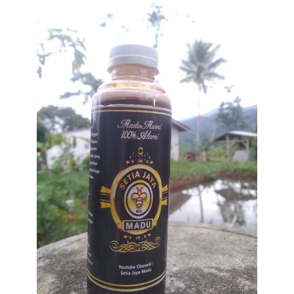 

Madu Lebah Asli tanpa campuran air atau lainnya