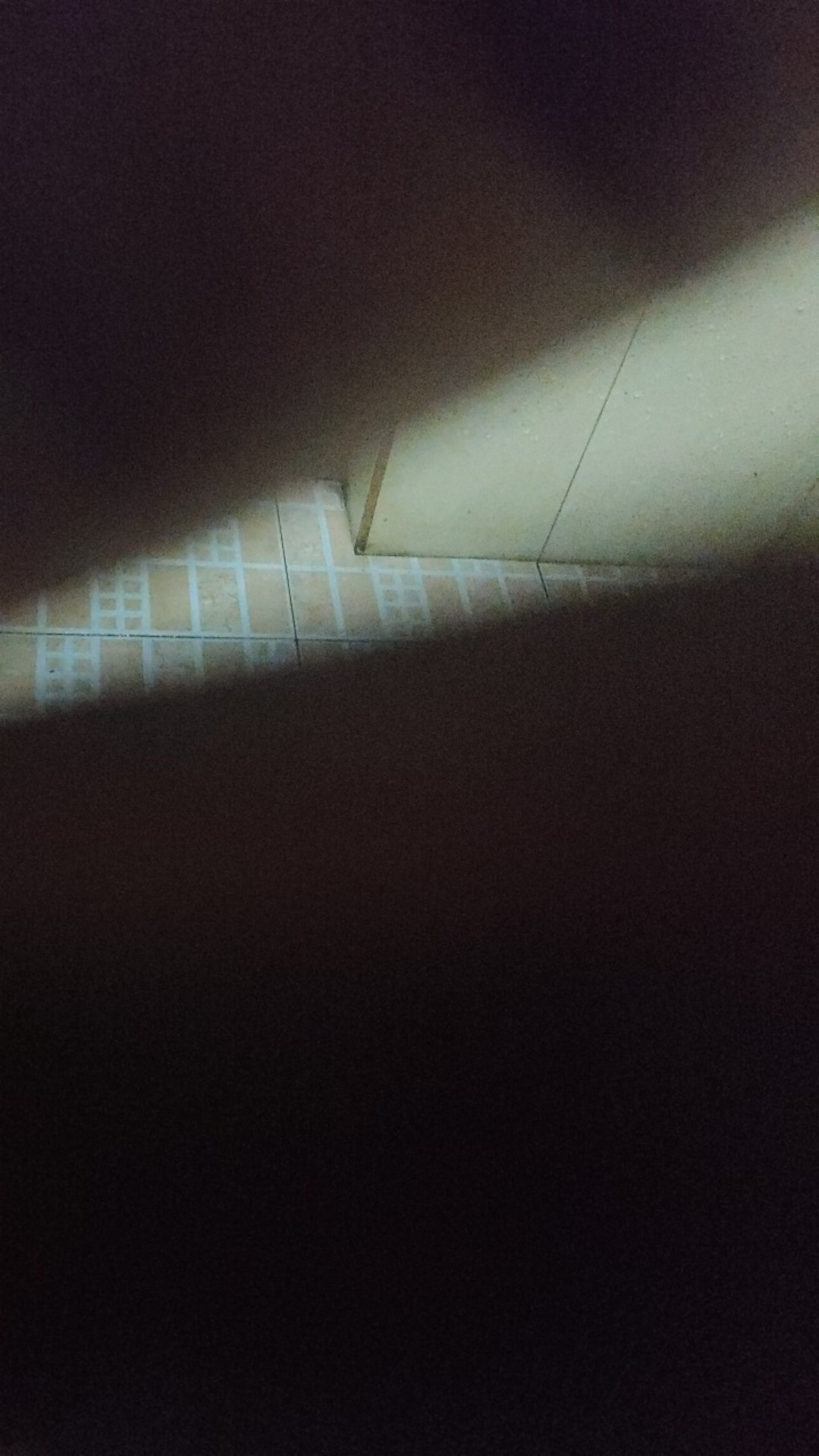 Pembasmi Kutu Kasur Tungau Anti Kutu Busuk Obat Kutu Gun Killer 1 Liter Free Botol 100ml