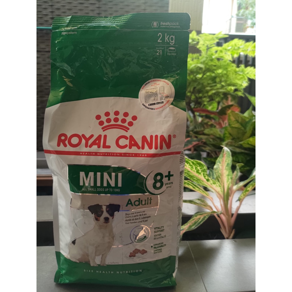 Royal Canin Mini Adult Above 8 Years Dog Food 2kg