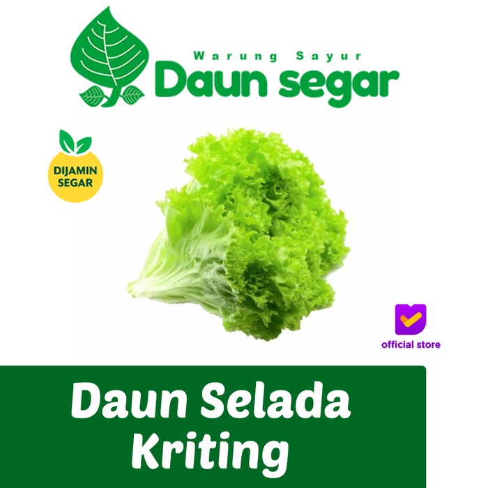 

Daun Slada kriting / Slada 250 gram Super Fresh