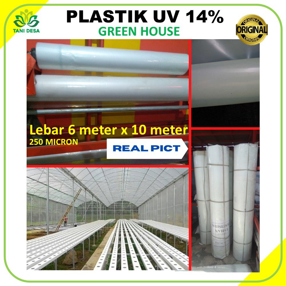 Plastik UV Green house Lebar 6 meter x panjang 10 meter, 200 Micron 14%.