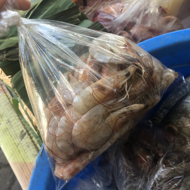 

Udang segar perbungkus