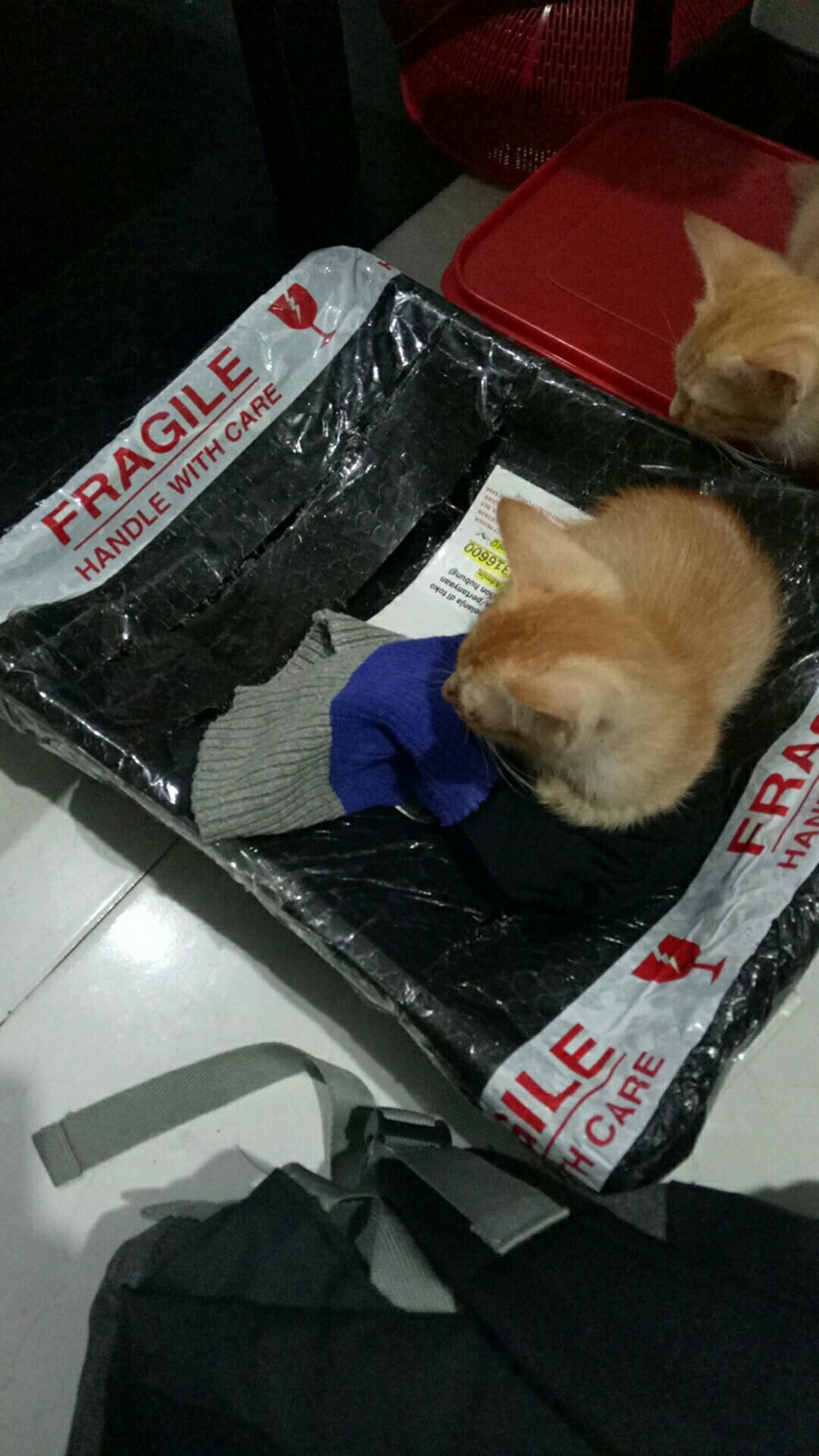 Baskom Plastik / Baskom Cat / Bak Cat / Bak Pasir Kucing - Susan