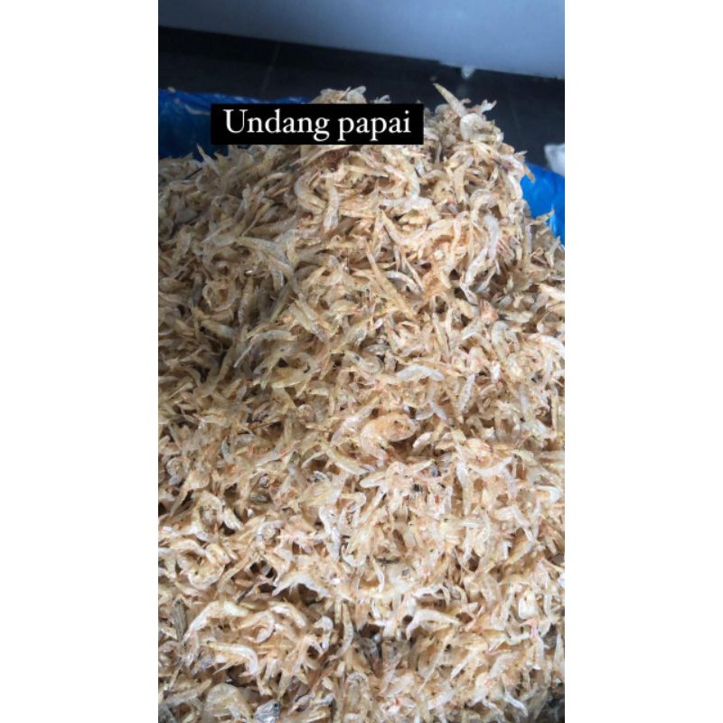 

udang papai besar 250gram