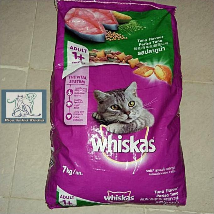 Info ttg Harga Whiskas Kering 1 Kg Viral