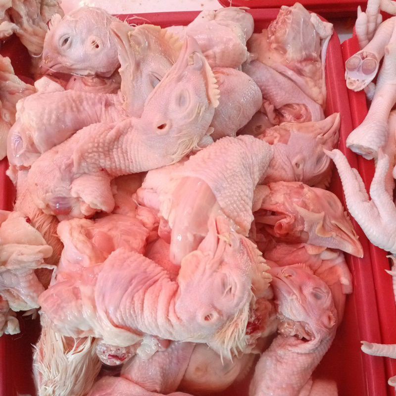 

kepala Ayam besar Fresh 500gr