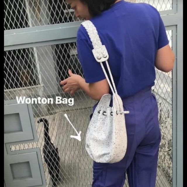 

Srw cookies wonton bag