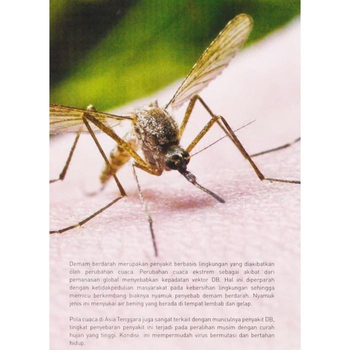 Obat Fogging Nyamuk Cynoff 50 EC