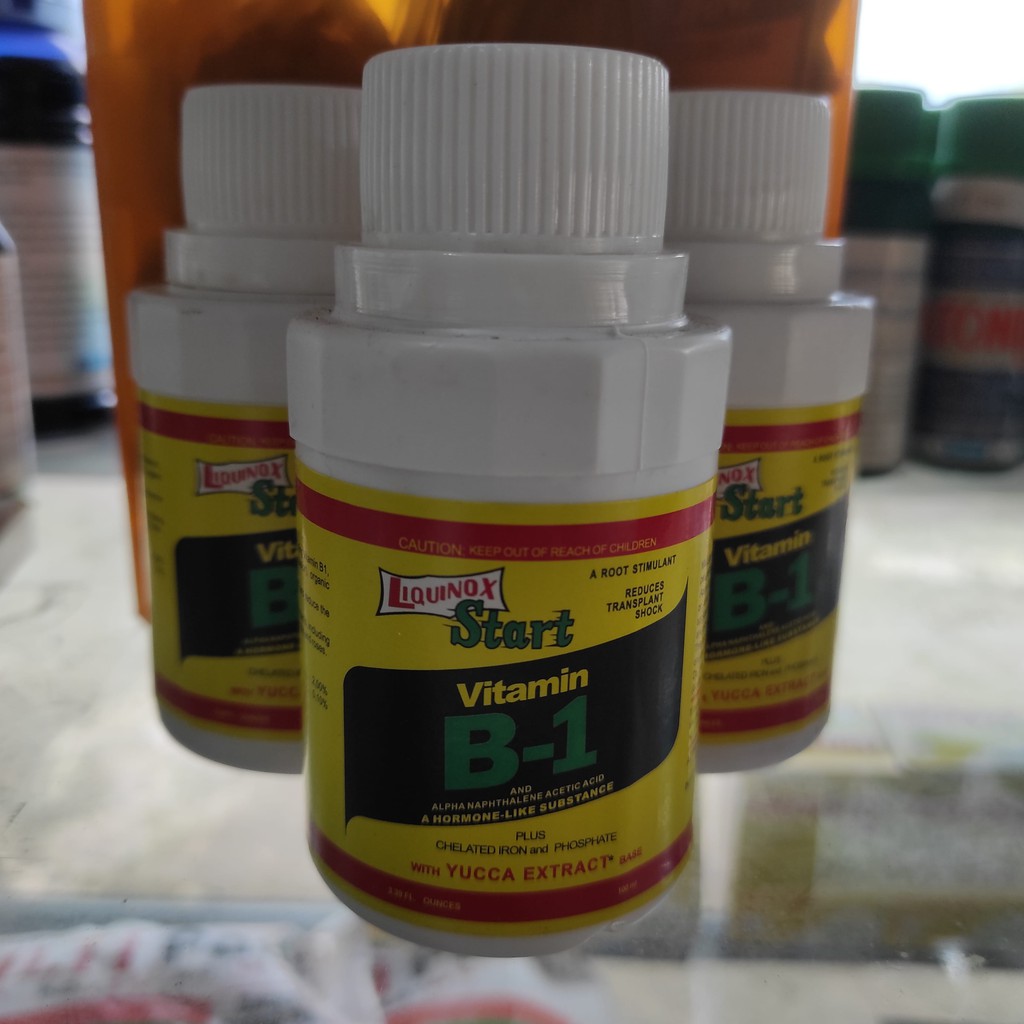 Vitamin B-1 - vitamin tanaman