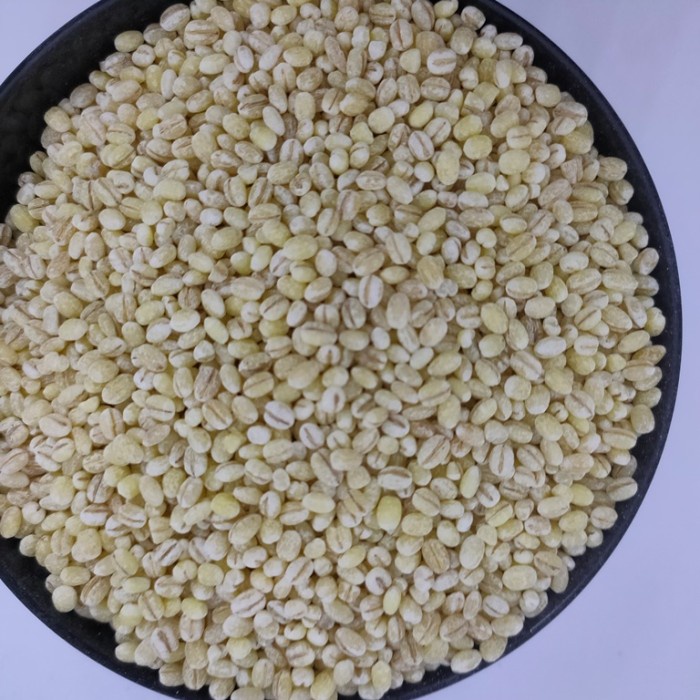 MAKANAN & MINUMAN MAKANAN KERING BARLEY - BIJI JALI - JALI [500 G] PROMO-ORIGINAL-KEREN-MURAH-SALE