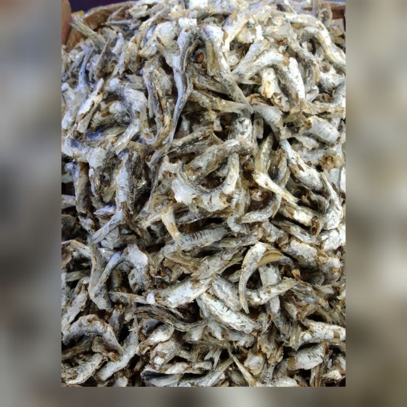 

ikan asin sampah daging