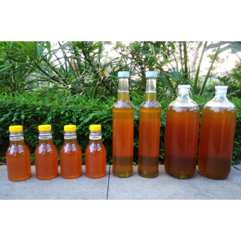 

Madu Randu Asli Gunung Wilis