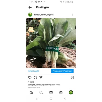 

Fakcoy organik