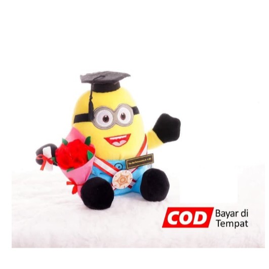 Boneka Wisuda Minion Buket Bunga dan Ijazah Custom - Kado Wisuda
