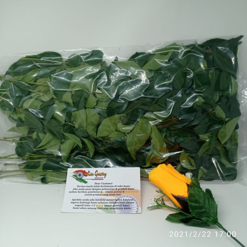 

CURRY LEAF / DAUN KARI / SALAM KOJA 100 GR