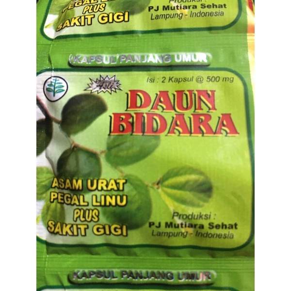 Kapsul Daun Bidara Persachet Asli