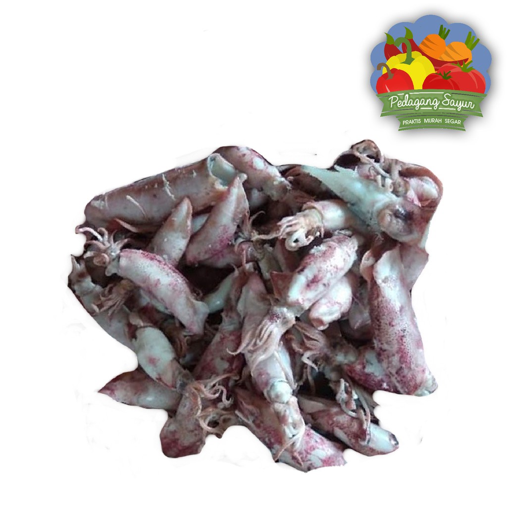 

Ikan Asin Sotong Jarum / Cumi Asin - 100 Gram