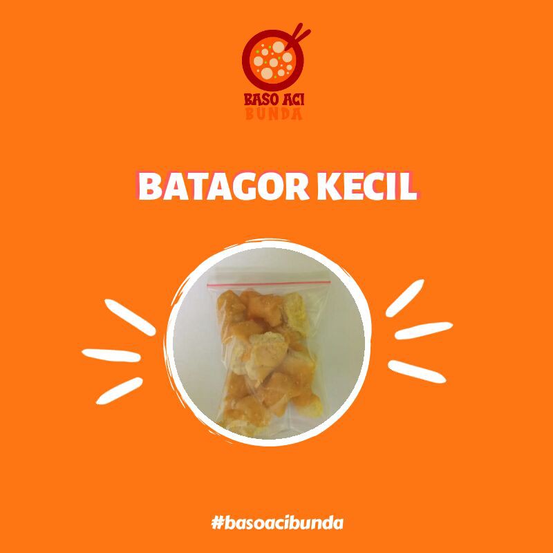 

BATAGOR KECIL