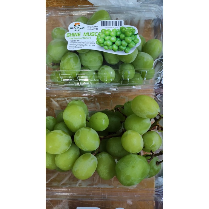 Anggur Shine Muscat Pak [ 1 Pack ] Grape Fruit Segar Manis Bandung