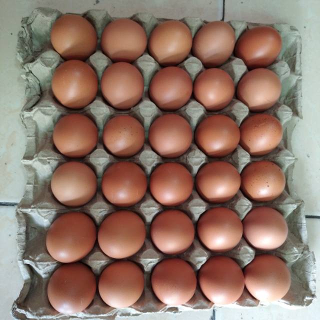 

Telur ayam Negeri 30 butir (1papan / 1.88 kg)