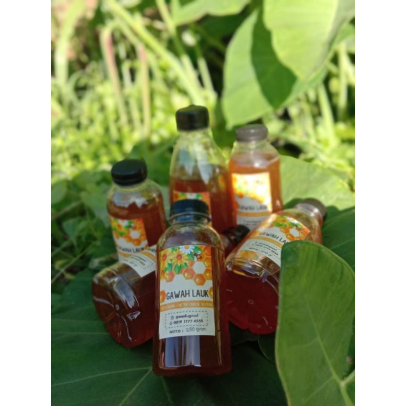 

MADU GAWAH LAUK (MADU HUTAN)