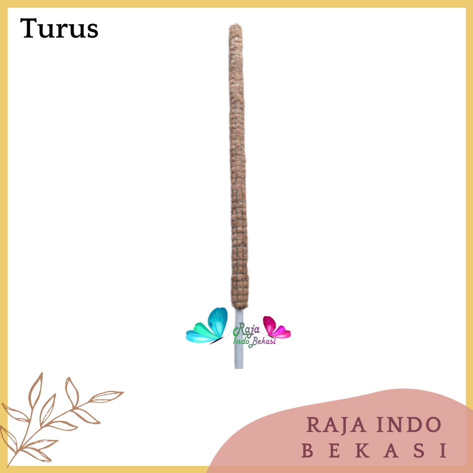 Turus Pipa Ulir 50 60 80 90 Cm Turus Sabut Kelapa Penyangga Tanaman Rambat 100cm Bkn Turus Lumut