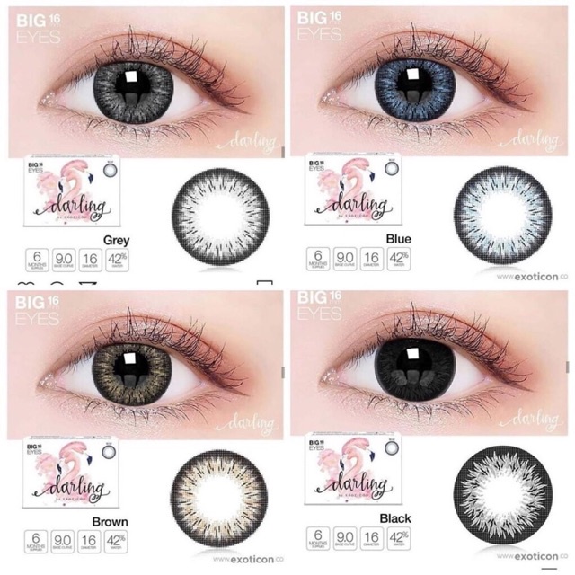 SOFTLENS DARLING MINUS 16MM