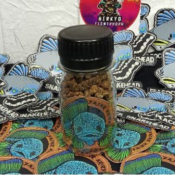 Pelet Jahat Fajar Arief