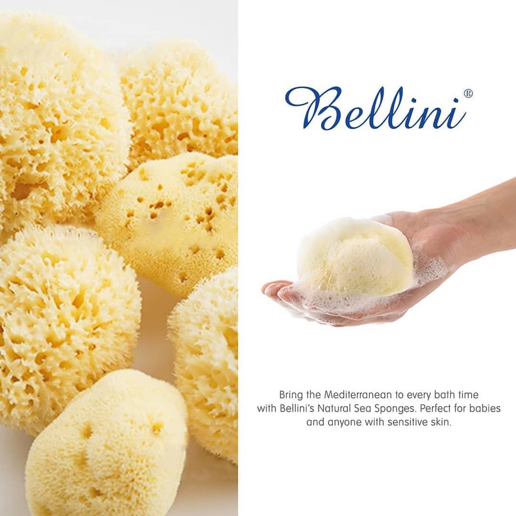 BELLINI HONEYCOMB SPONGE