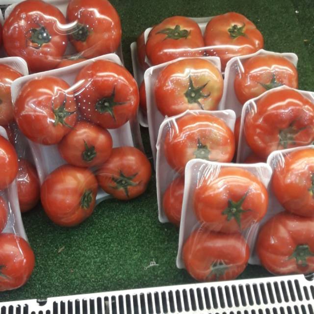 

Tomat Buah Fresh (250 gram 15000)