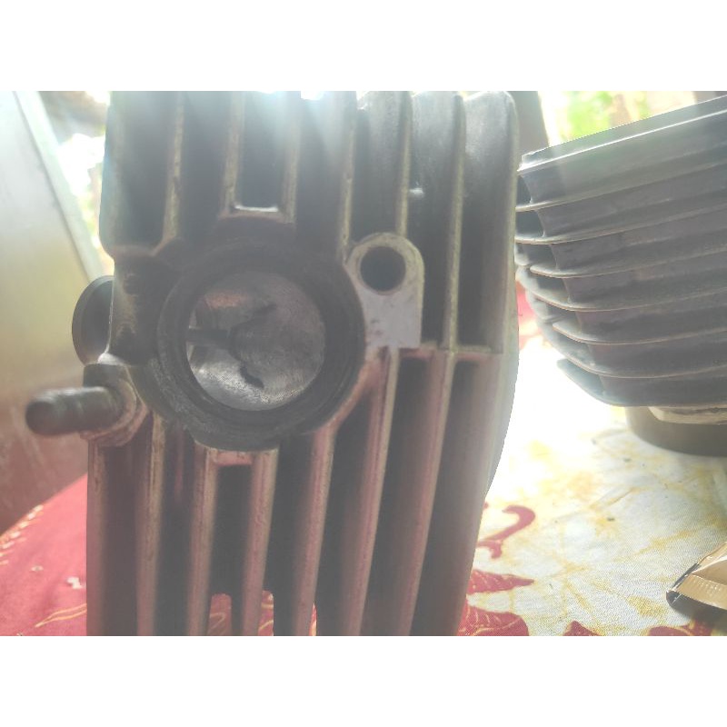 kop tiger 34/29 bless