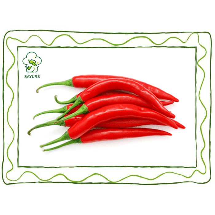 

Cabe Merah Besar | Cabe Merah TW | Cabe Merah Besar TW