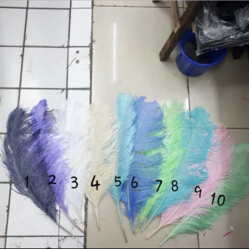 BULU DEKORASI OSTRICH UK. 55-60CM