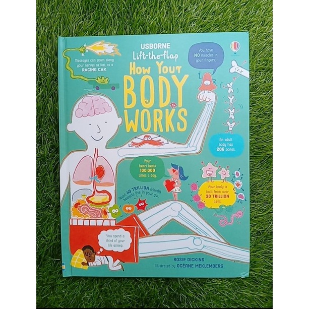Board Book lift the flap how your body works
