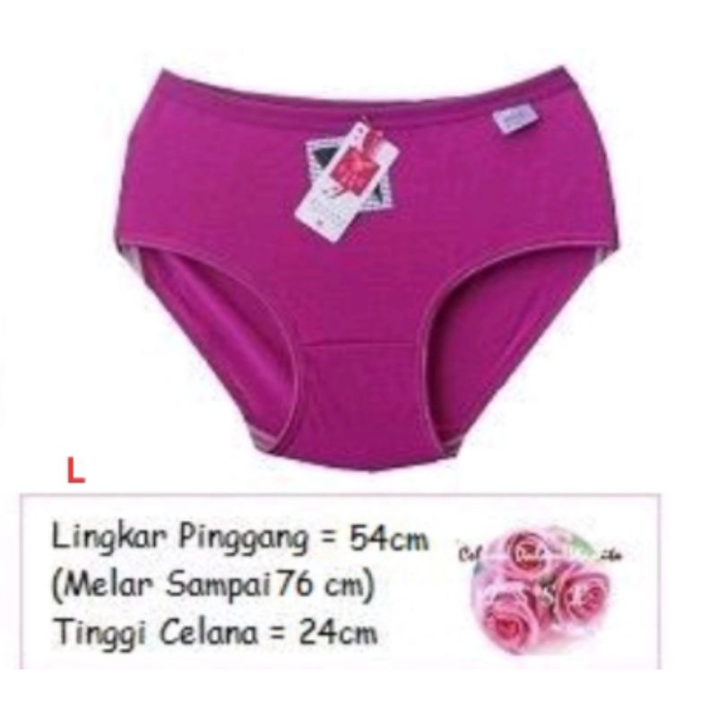 6PCS CELANA DALAM WANITA IMPORT MURAH BERKUALITAS/CD ESSE LYCRA